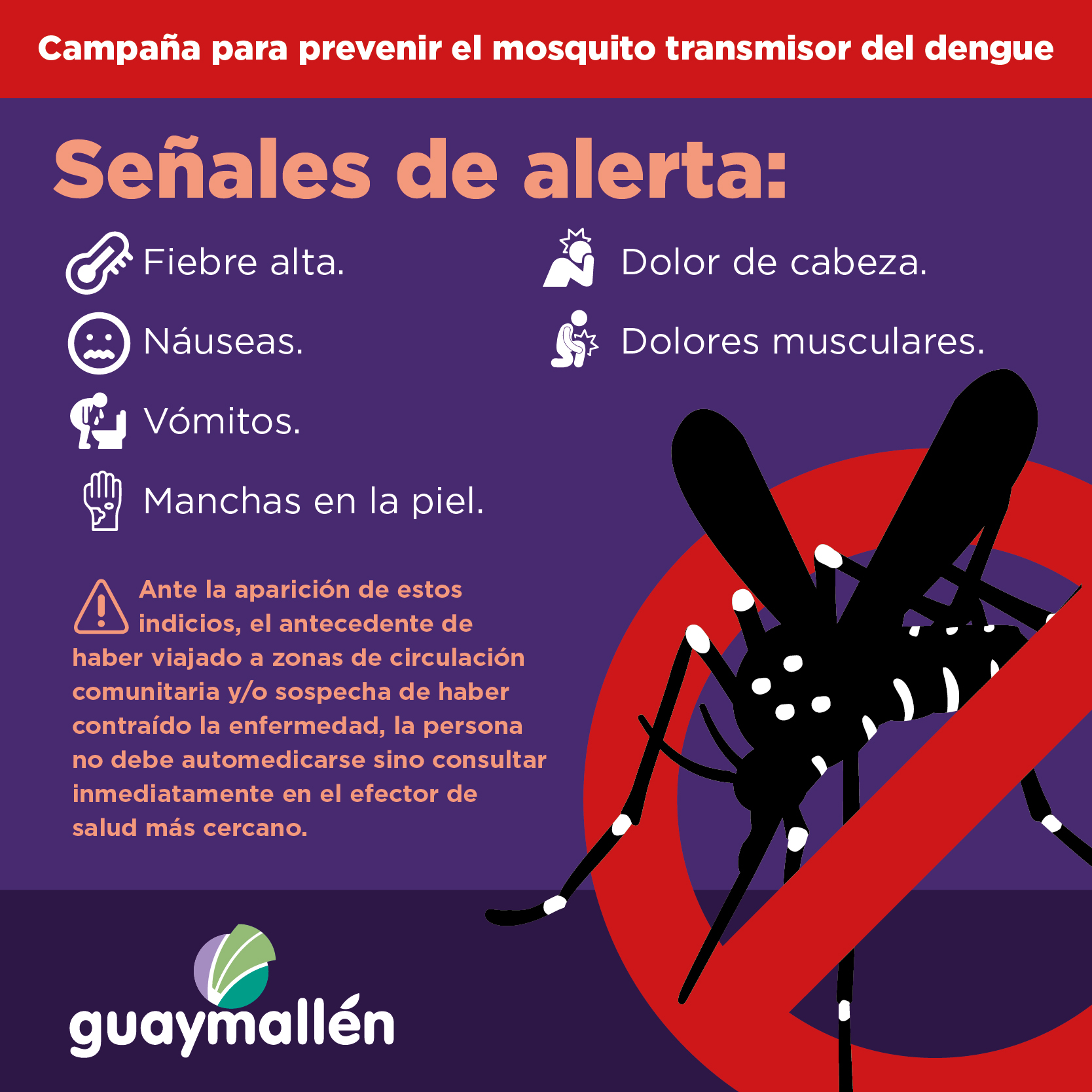 dengue noticias actualidad y prevencion de la enfermedad