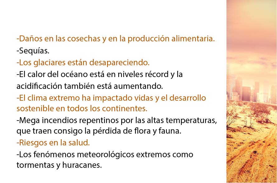 noticias del tiempo como afecta el clima a nuestra vida diaria