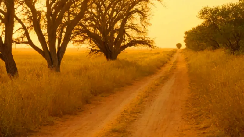 Figura solitaria en un camino al atardecer