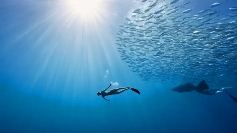 Figura solitaria en un mar de peces