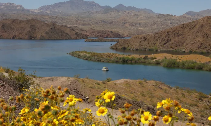 Embalses del río Colorado en niveles críticos.
