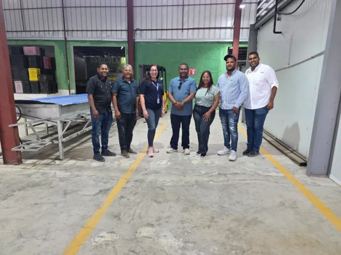 Aguacate Hass orgánico de República Dominicana.