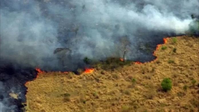 Incendio en Isla de Salamanca afecta Barranquilla.