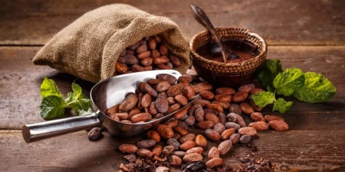 Celebración del Día Mundial del Chocolate
