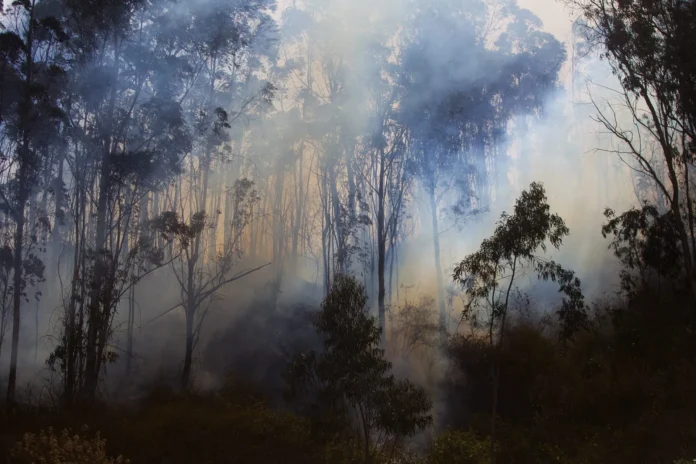 Campaña de Ecuador para prevenir incendios.