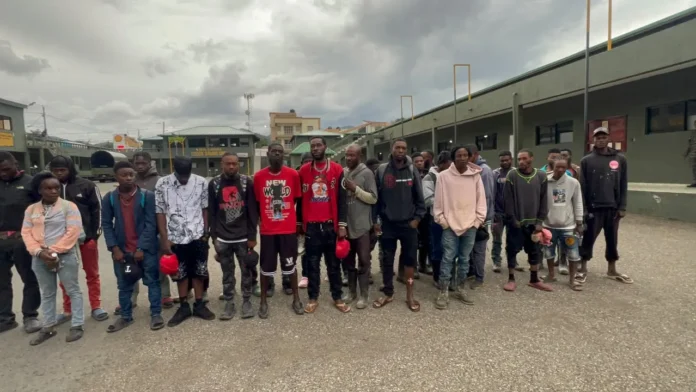 Ejército detiene haitianos indocumentados en Constanza.