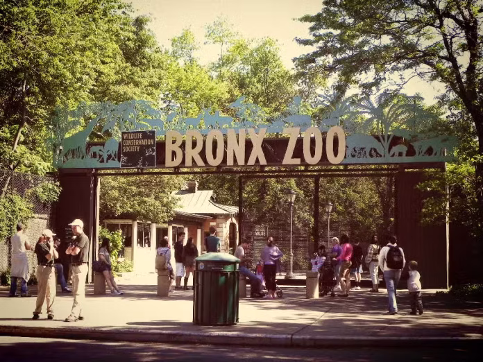 Elefante Patty del Zoológico de El Bronx