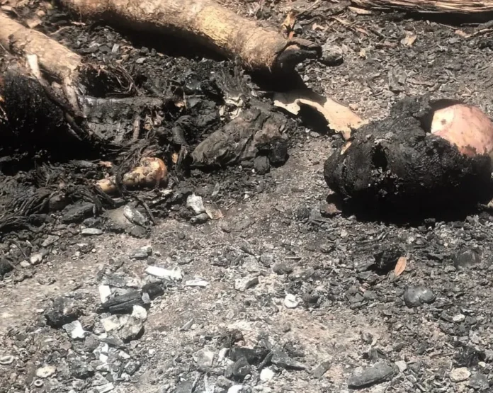 Osamenta humana hallada en Dajabón.