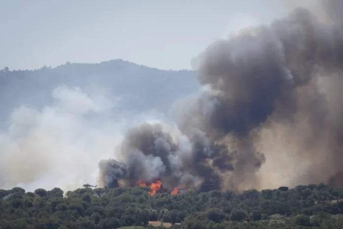 Incendio forestal en Almería, devastación y tragedia.
