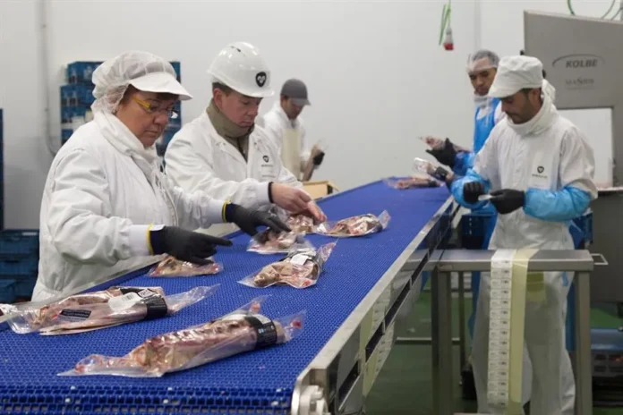 Prohibición de empleo temporal en cárnica.