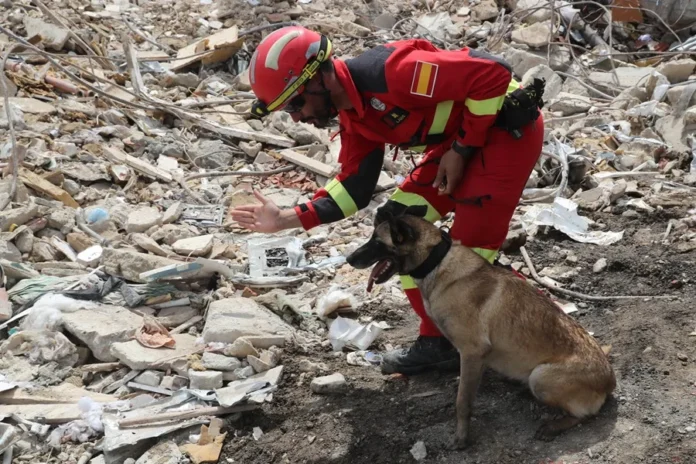 Refugios de animales colapsan en Venezuela
