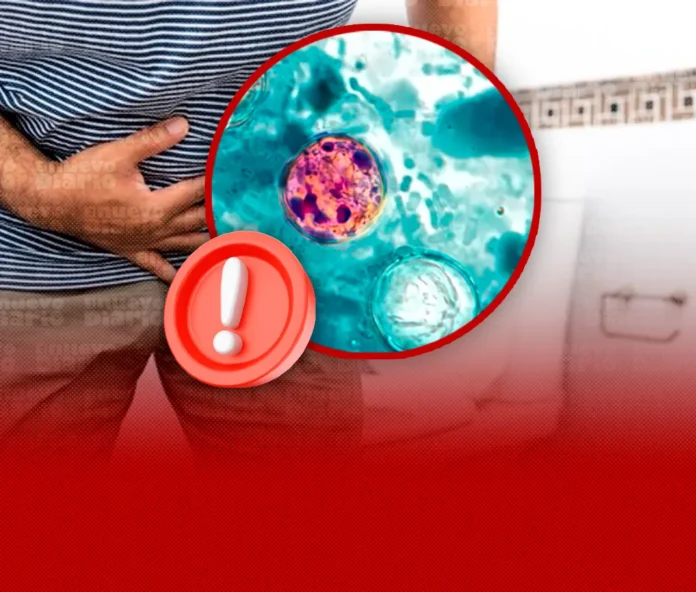 Brote de ciclosporiasis en Estados Unidos.