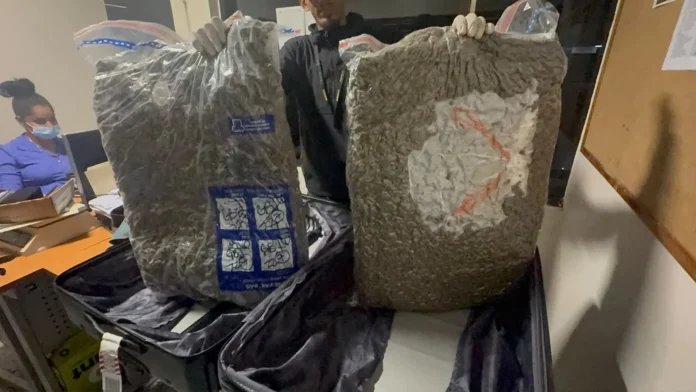 Incautación de marihuana en aeropuerto AILA