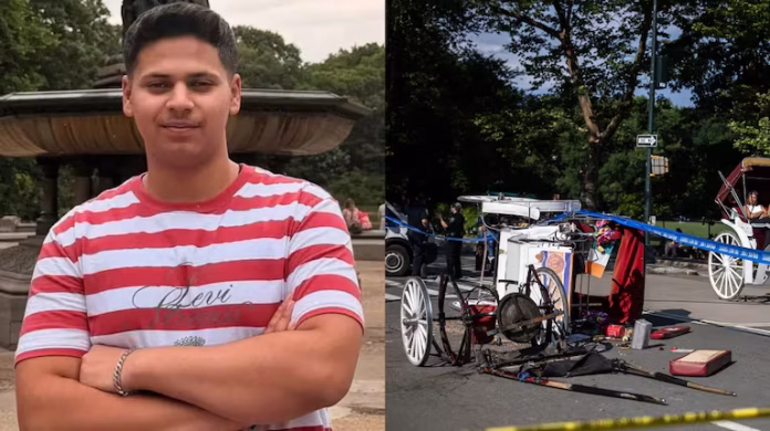 Familiares piden veto a carruajes en NY