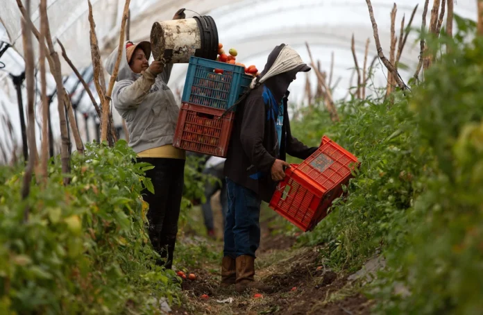 Honduras prohíbe importación de productos con trabajo forzoso.