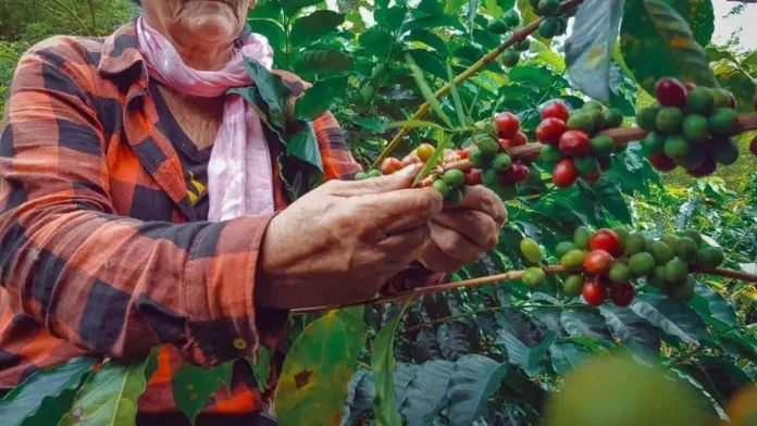 Oportunidades productivas en Elías Piña.
