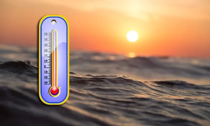 Ola de calor marina afecta océanos globales.