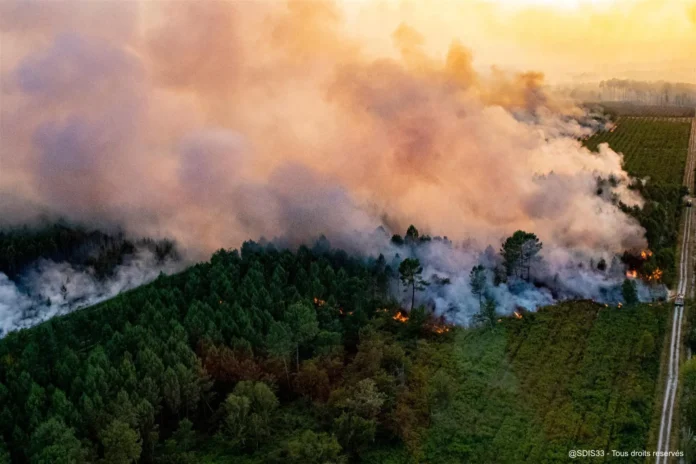 Bomberos luchando contra incendio en Burdeos.