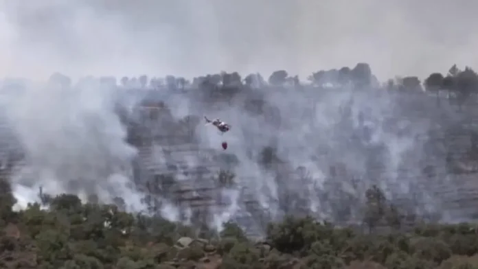 Incendio forestal en Fontainebleau, Francia.