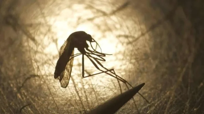 Primer caso de virus del Nilo en Francia