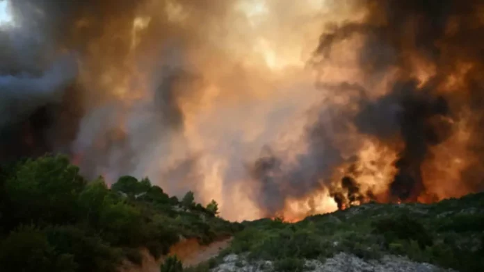 Incendios forestales en Sicilia, Francia y España.