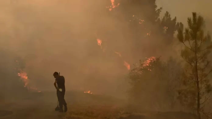 Incendio forestal en Almería, tragedia mortal.