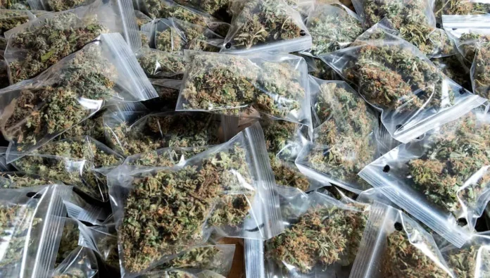 Aumento del consumo de marihuana en RD