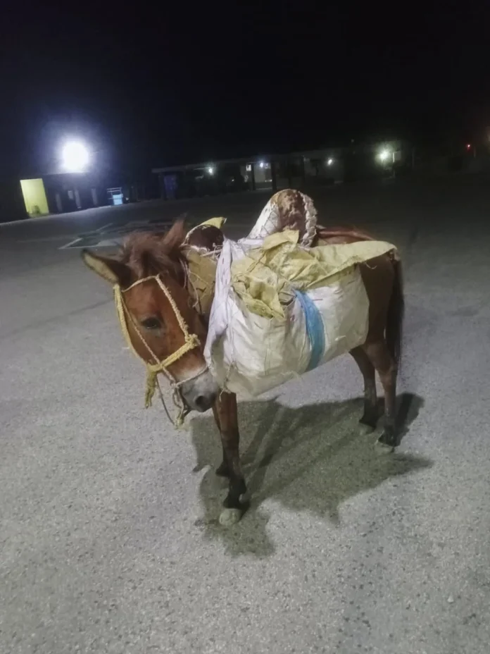 Incautación de cigarrillos y ron en Dajabón