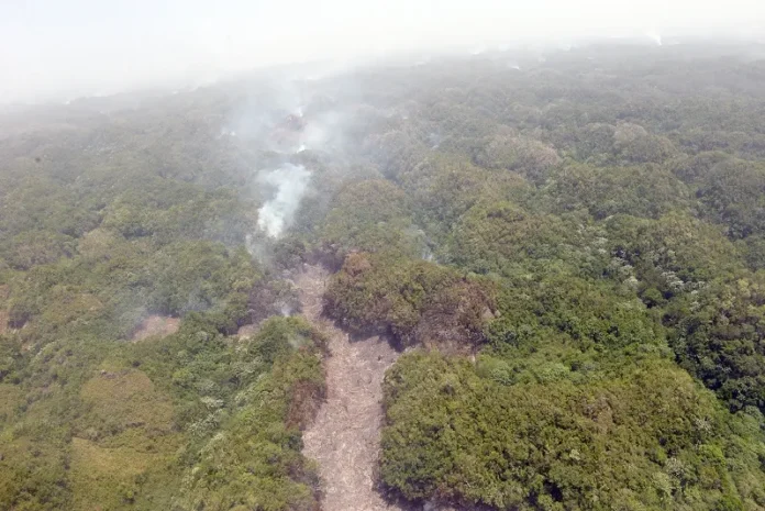 Prisión preventiva por daño ambiental en Haitises