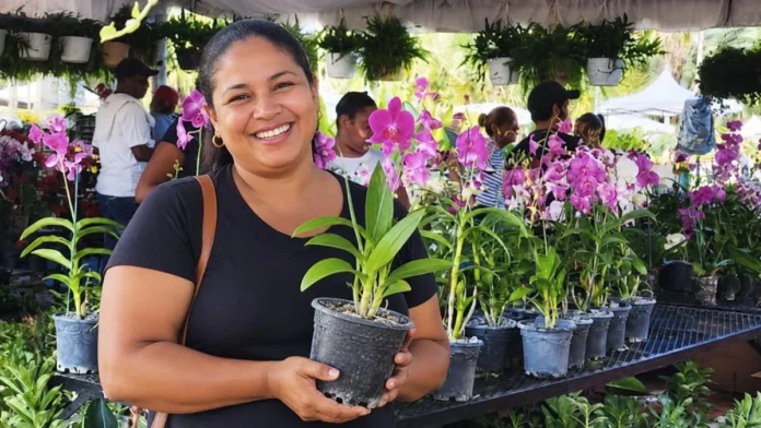Festival de Plantas y Flores en Jardín Botánico