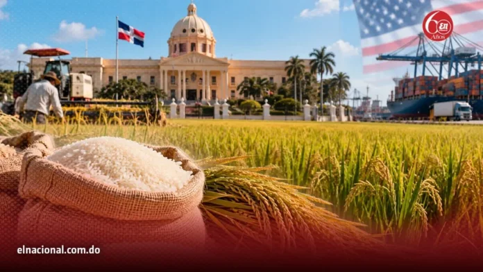 Gobierno protege arroz dominicano por seguridad alimentaria.