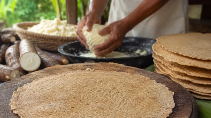Casabe: alimento taíno y provisión histórica.