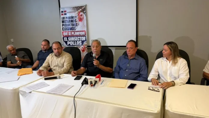 Productores avícolas denuncian crisis por importaciones.
