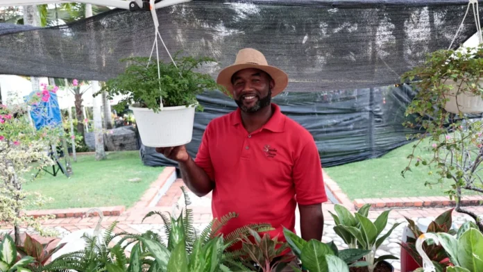 Crecimiento del negocio de plantas ornamentales.