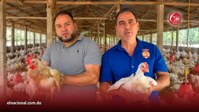 Crisis avícola por importaciones masivas de pollo