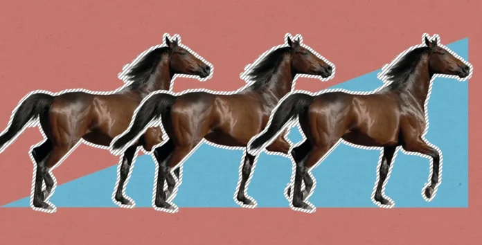 Caballos en mal estado durante cabalgatas.