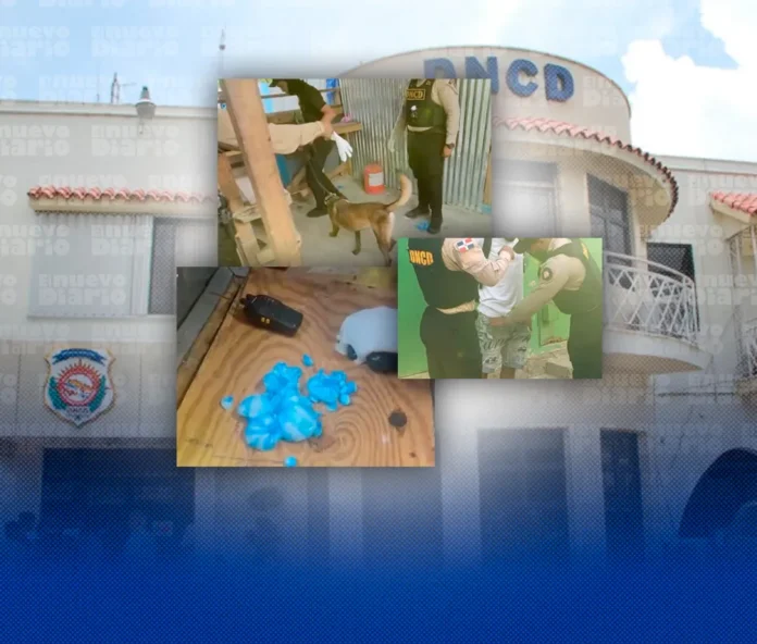 DNCD arresta a diez hombres por drogas