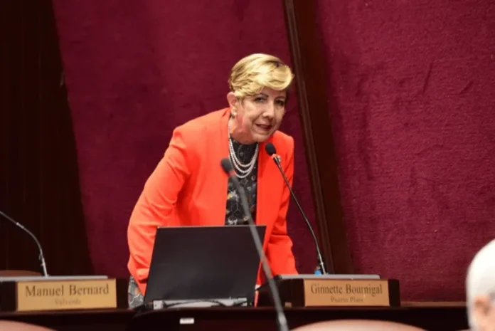 Bournigal llama a unidad en el PRM