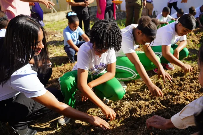 Huertos escolares: buenas prácticas educativas
