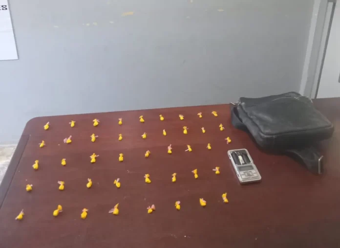 Policía Nacional incauta cocaína en Valverde.