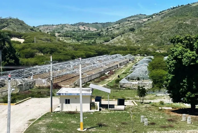 Invernaderos abandonados en Vallejuelo, San Juan.