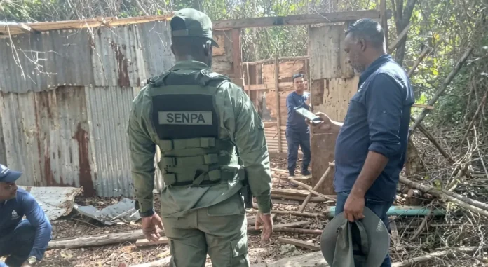 Desmantelamiento de estructuras ilegales en Hoyo Claro