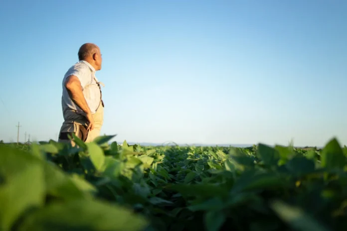 Soya sostenible impulsa producción de proteína animal.