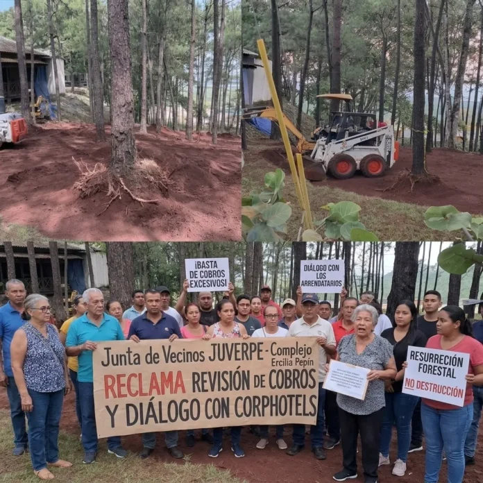 Juverpe exige detener tala en Jarabacoa