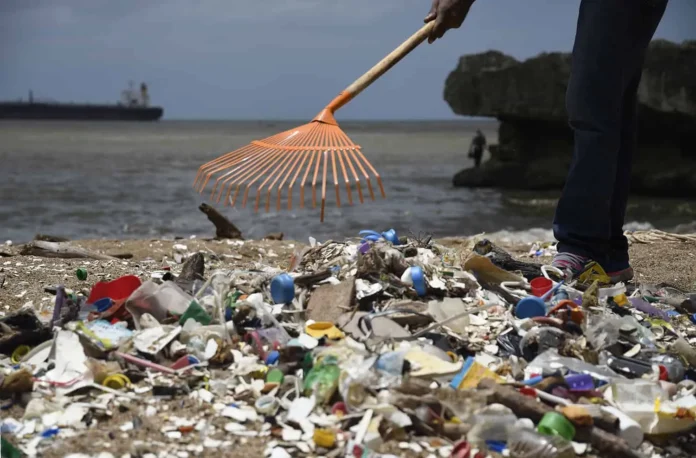 Pérdida económica global por modelo lineal.