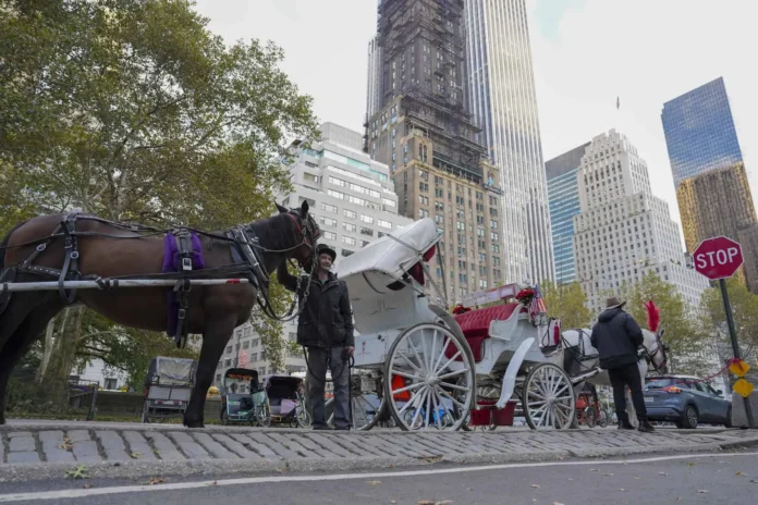 Carruajes de Central Park en peligro de extinción.