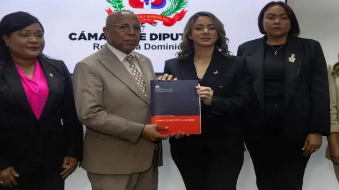Ley Mirabal: 40 años por violencia vicaria