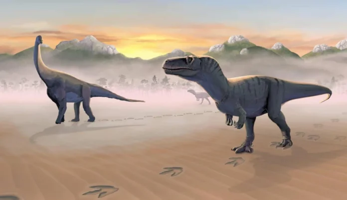 Nuevo dinosaurio megaraptorano descubierto en Europa.