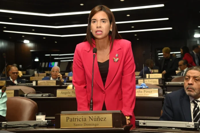 Patricia Núñez habla sobre inversiones gubernamentales.