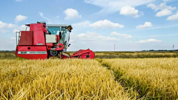 Apoyo financiero para productores de arroz.